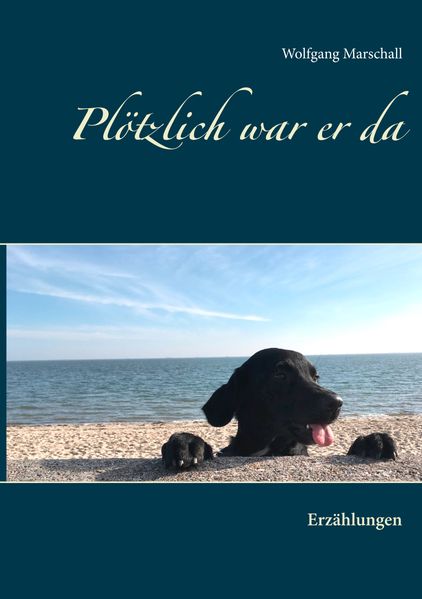 Cover von Plötzlich war er da