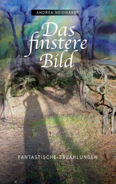 Cover von Das finstere Bild