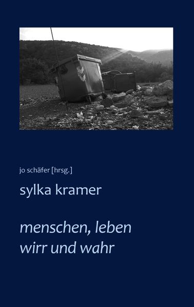 Cover von menschen, leben wirr und wahr