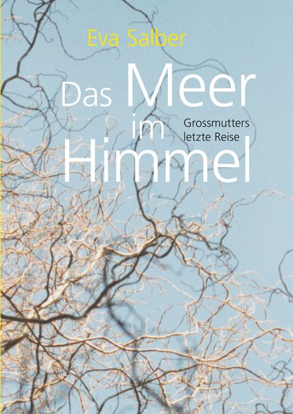 Cover von Das Meer im Himmel