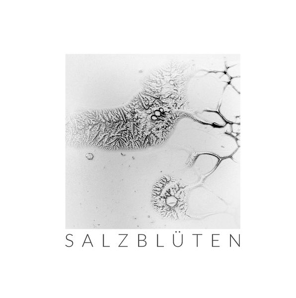 Cover von Salzblüten