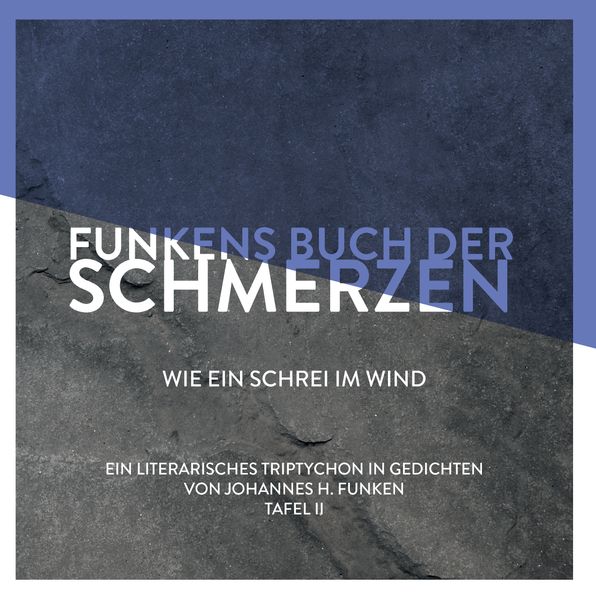 Cover von Funkens Buch der Schmerzen