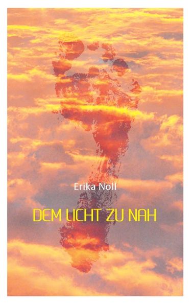Cover von Dem Licht zu nah