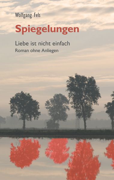 Cover von Spiegelungen