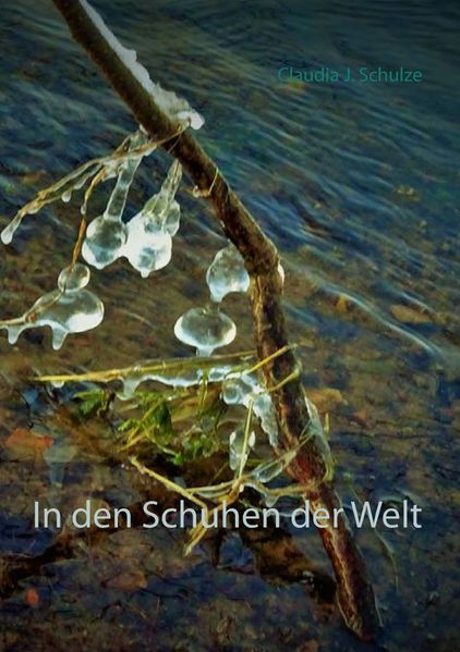 Cover von In den Schuhen der Welt