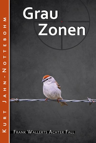 Cover von Grauzonen