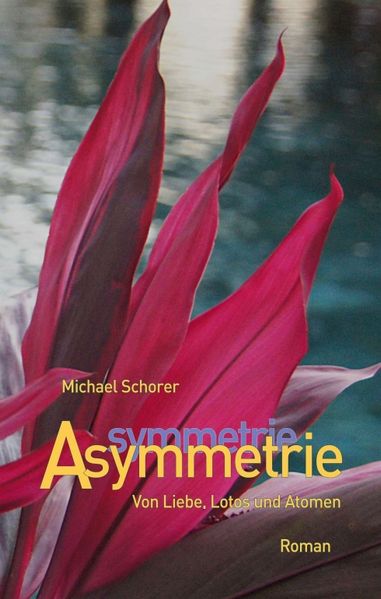 Cover von Asymmetrie