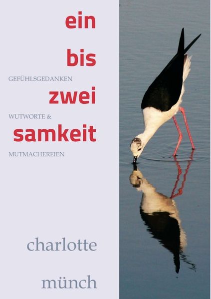 Cover von ein- bis zweisamkeit