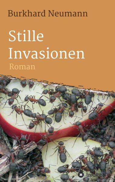 Cover von Stille Invasionen