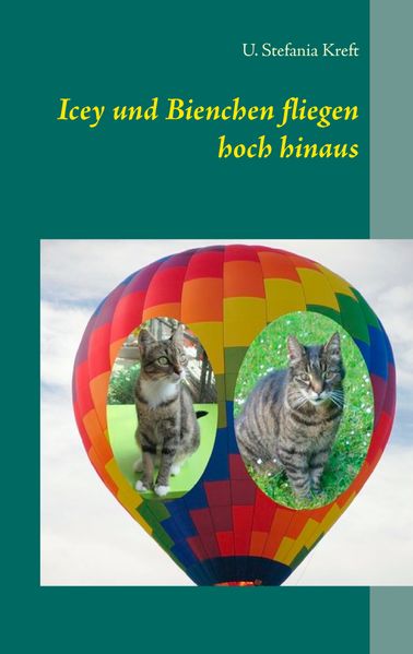 Cover von Icey und Bienchen fliegen hoch hinaus