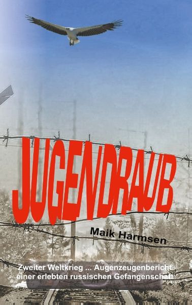 Cover von Jugendraub