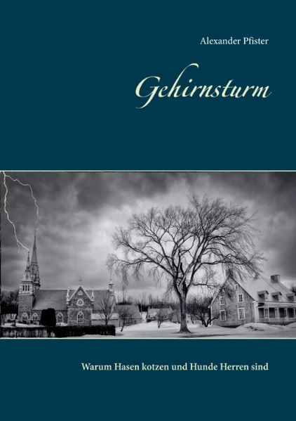 Cover von Gehirnsturm