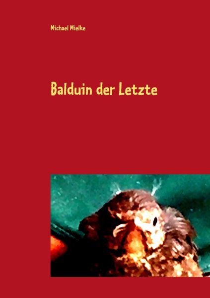 Cover von Balduin der Letzte