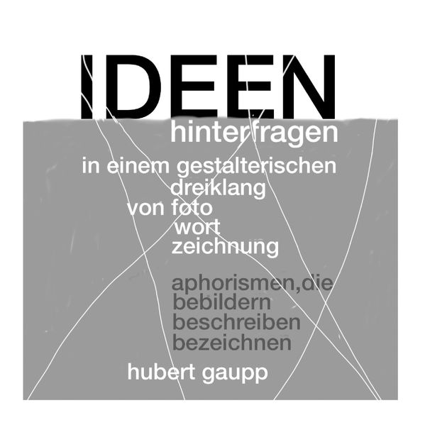 Cover von Ideen hinterfragen