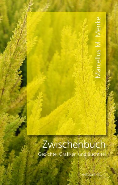 Cover von Zwischenbuch
