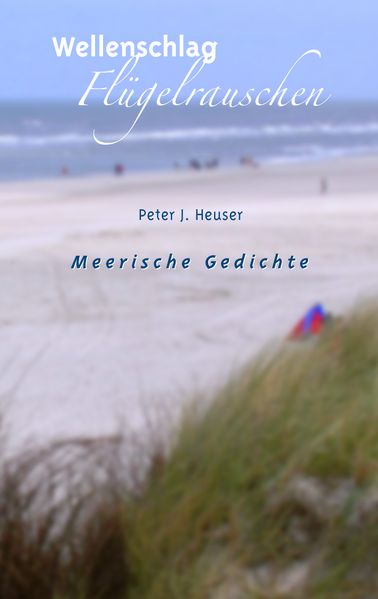 Cover von Wellenschlag – Flügelrauschen