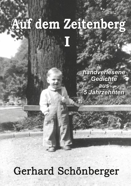 Cover von Auf dem Zeitenberg I