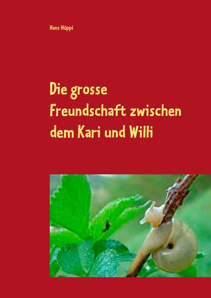 Cover von Die große Freundschaft zwischen dem Kari und Willi