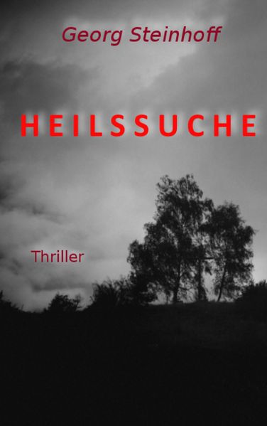 Cover von Heilssuche