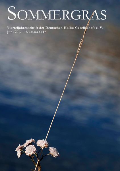 Cover von Sommergras 117