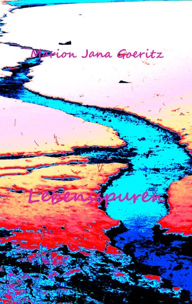 Cover von Lebensspuren