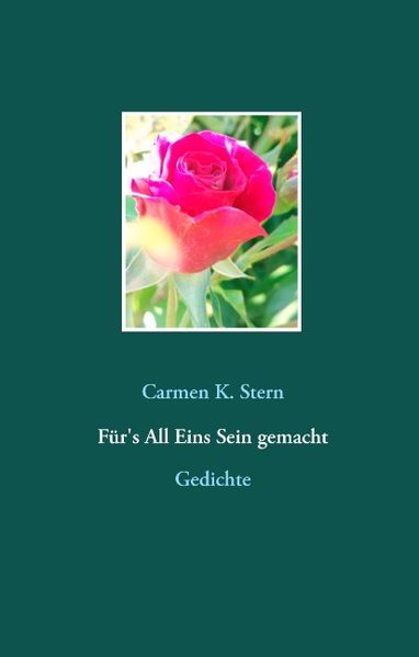 Cover von Für’s All Eins Sein gemacht