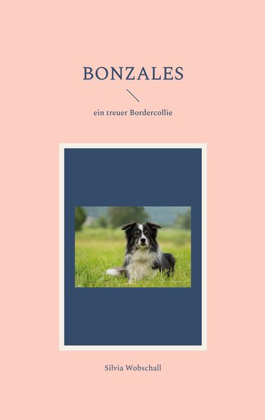 Cover von Bonzales