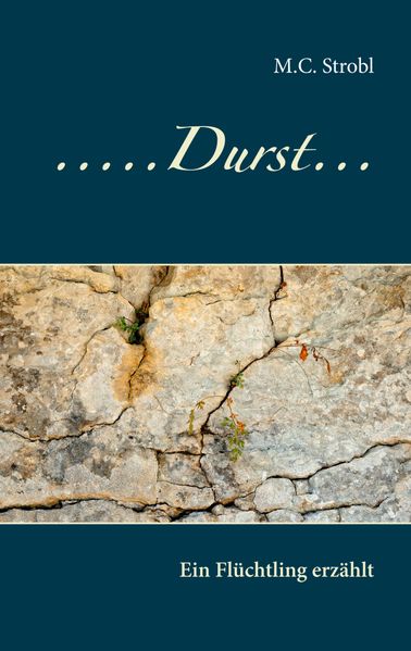 Cover von Durst