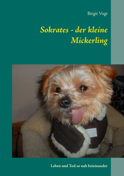 Cover von Sokrates – der kleine Mickerling