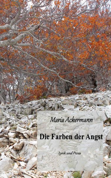 Cover von Die Farben der Angst
