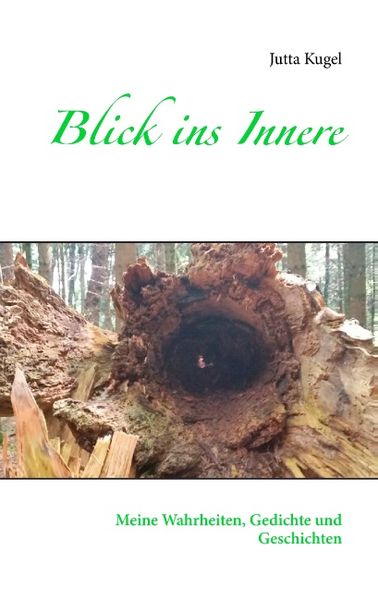 Cover von Blick ins Innere