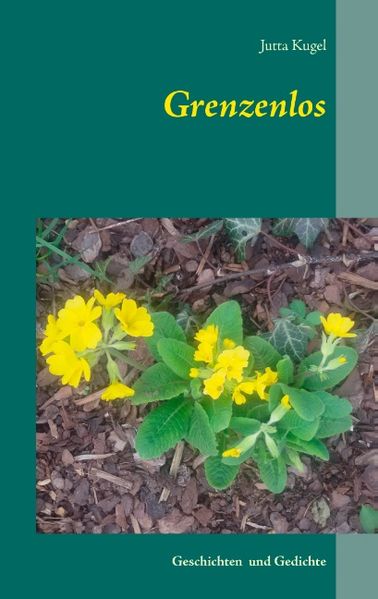 Cover von Grenzenlos