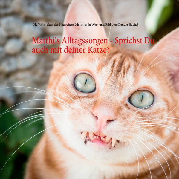 Cover von Matthi’s Alltagssorgen – Sprichst Du auch mit deiner Katze?