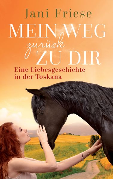 Cover von Mein Weg zurück zu dir