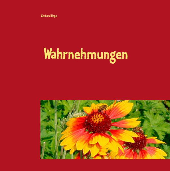 Cover von Wahrnehmungen