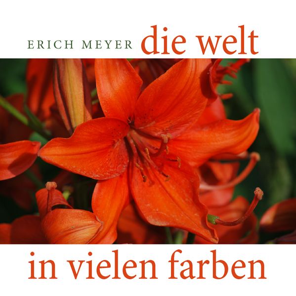 Cover von Die Welt in vielen Farben