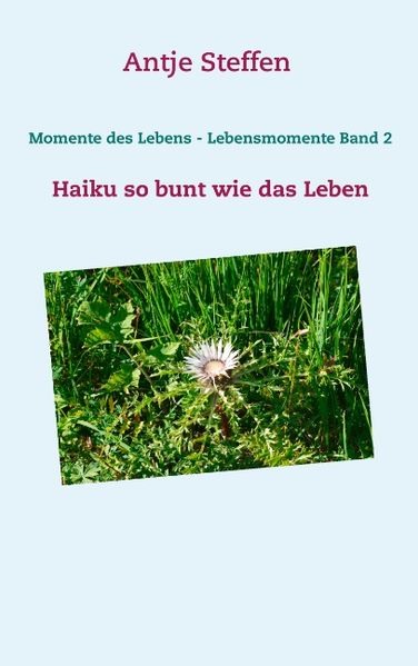 Cover von Momente des Lebens – Lebensmomente Band 2