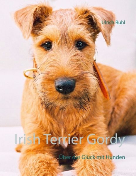 Cover von Irish Terrier Gordy