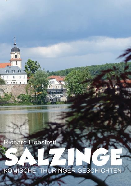 Cover von Salzinge