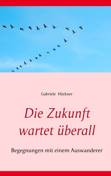 Cover von Die Zukunft wartet überall