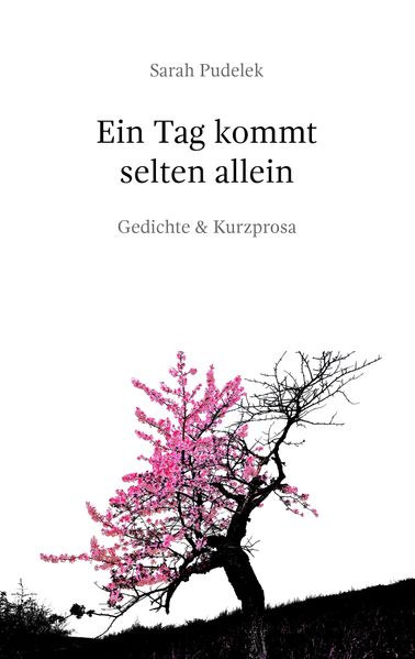Cover von Ein Tag kommt selten allein