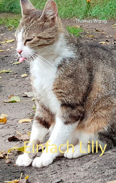 Cover von Einfach Lilly