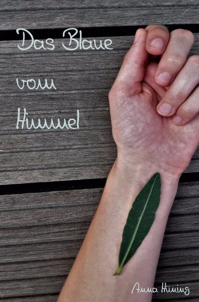 Cover von Das Blaue vom Himmel