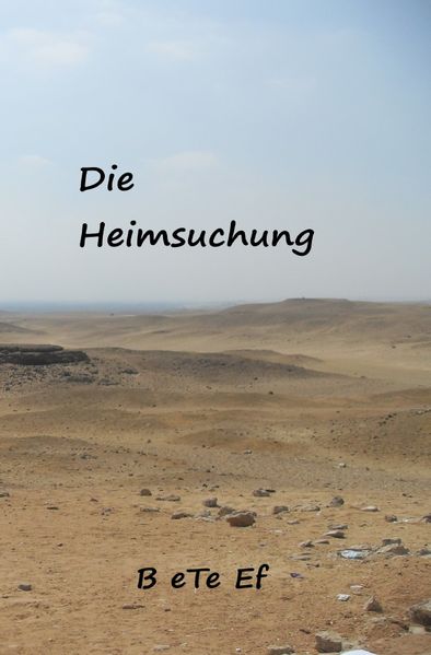 Cover von Romanreihe / Die Heimsuchung