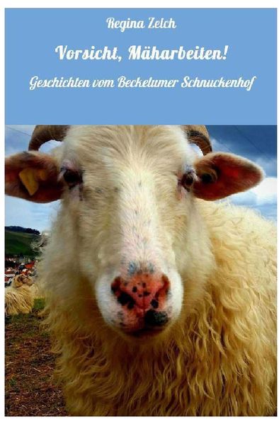 Cover von Vorsicht, Mäharbeiten