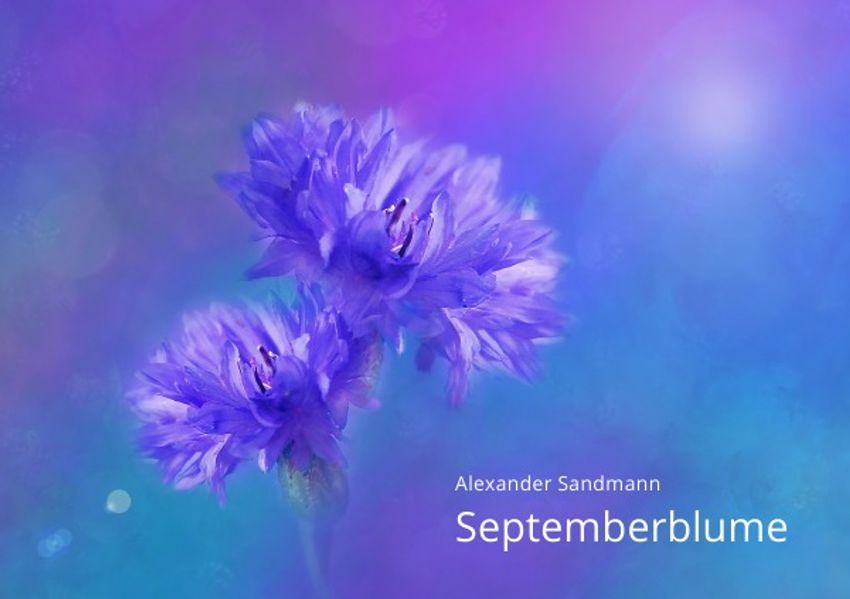 Cover von Septemberblume