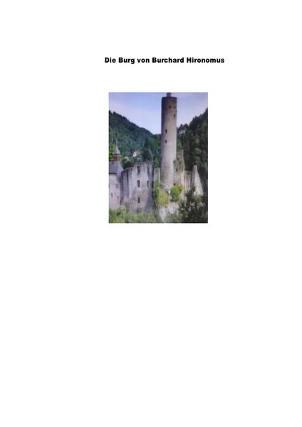 Cover von Die Burchard Burg
