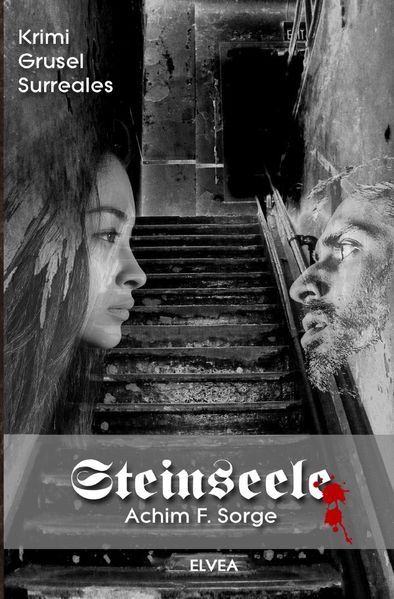 Cover von Steinseele: Sonderedition Großdruck