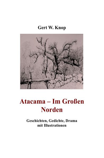 Cover von Atacama – Im Großen Norden