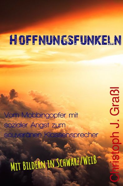 Cover von Hoffnungsfunkeln